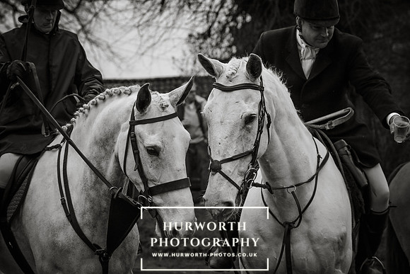 Hurworth Hunt 55