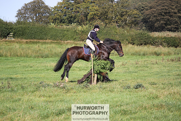 Hurworth Bilsdale Hedge Hop 346