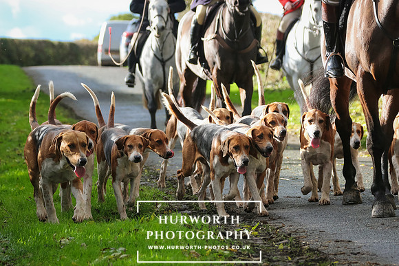 Hurworth Hunt  38