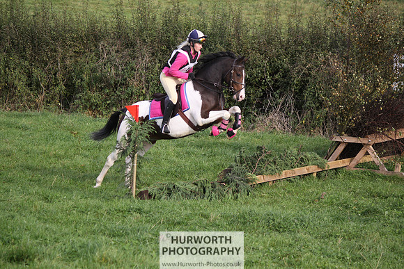 Hurworth Bilsdale Hedge Hop 035