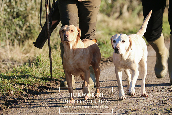 Studley Royal Ladies Shoot 039