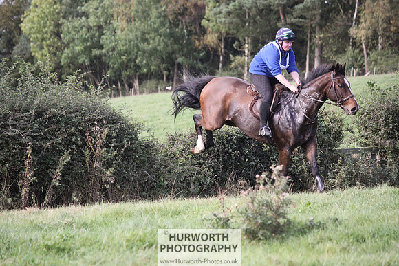 Hurworth Bilsdale Hedge Hop 608