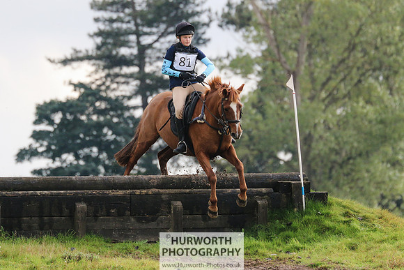 Hurworth Hunter Trial 368