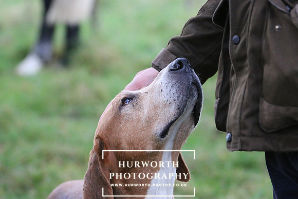 Hurworth Hunt  106