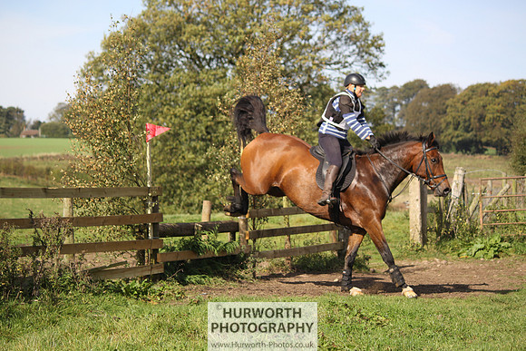 Hurworth Bilsdale Hedge Hop 233