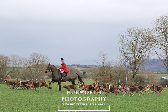 Hurworth Hunt 221