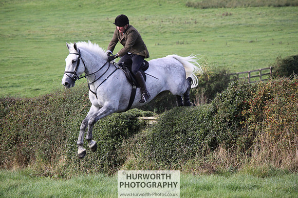 Hurworth Bilsdale Hedge Hop 611