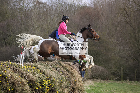 Hurworth Hunt Hedge Hop 054
