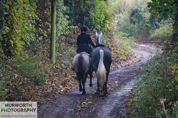 Hurworth Hunt 118