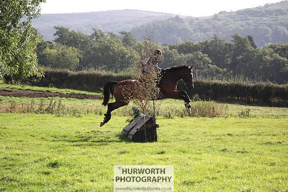 Hurworth Bilsdale Hedge Hop 211