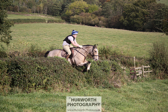 Hurworth Bilsdale Hedge Hop 701