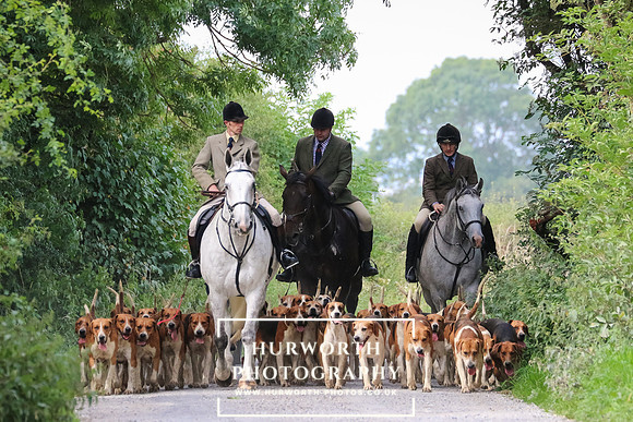 Hurworth Hunt 276