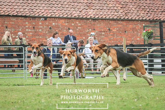 Hurworth Hunt 111