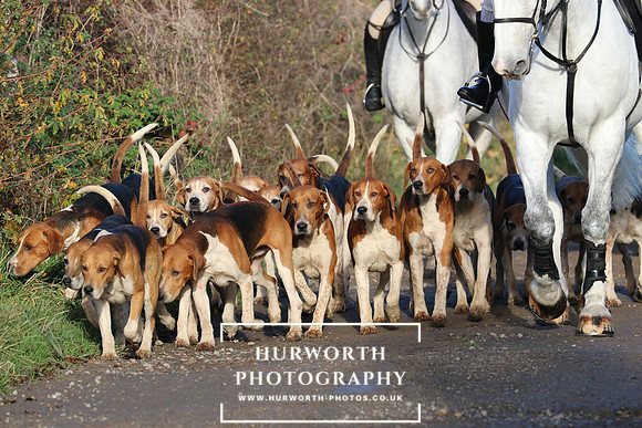 Hurworth Hunt 101