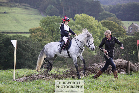 Hurworth Bilsdale Hedge Hop 013
