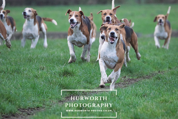 Hurworth Hunt 110