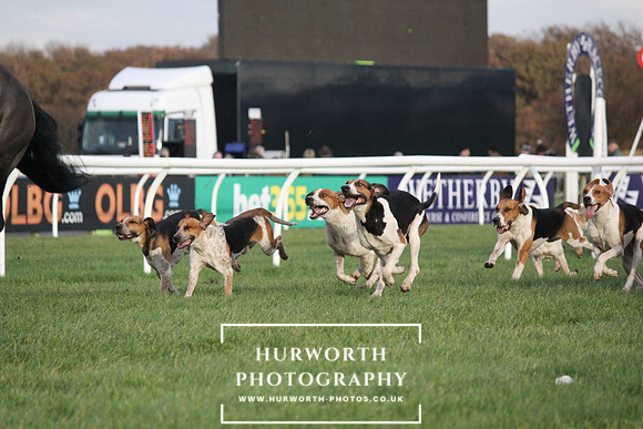 Countryside Raceday 157