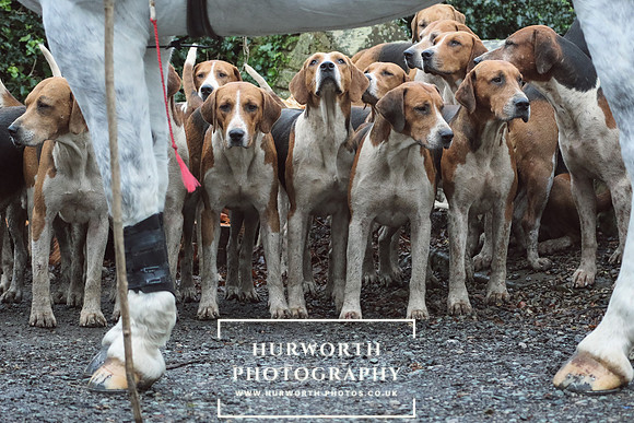 Hurworth Hunt 52
