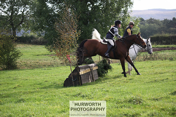 Hurworth Bilsdale Hedge Hop 065