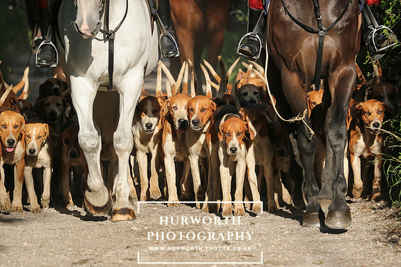 Hurworth Hunt 21