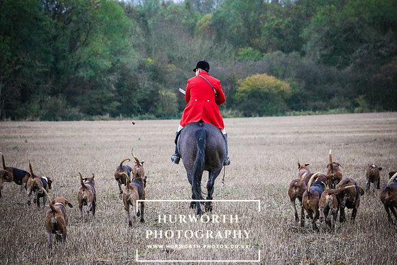 Hurworth Hunt  480