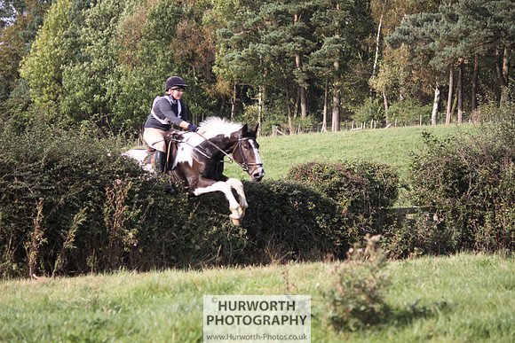Hurworth Bilsdale Hedge Hop 542
