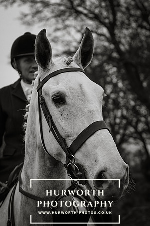 Hurworth Hunt 143
